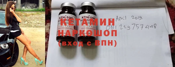 шишки Арсеньев