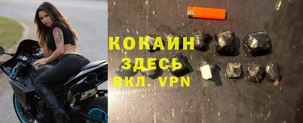 шишки Арсеньев